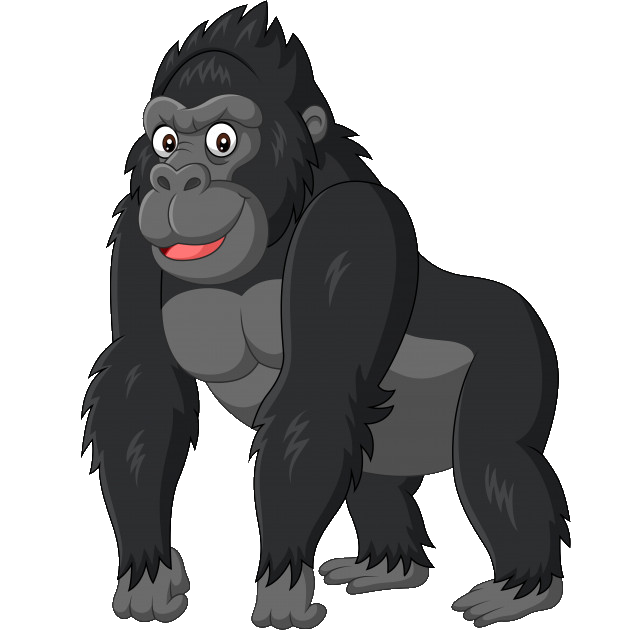 gorilla